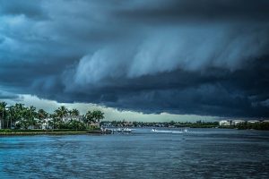 Hurricane Dorian, cost with palms and ocean