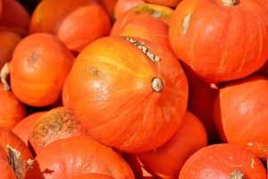 pumpkins to celebrate Halloween in Florida