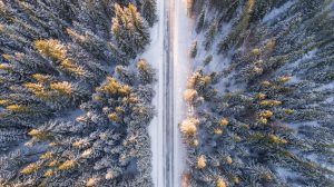 Snowy road - The best time to move