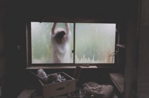 A woman looking inside a storage