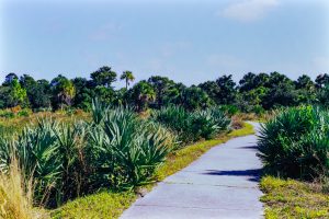 Nature in Boca Raton