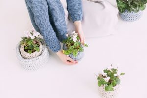 a woman wrapping plant pots in soft material for as one of the ways for moving your plants long-distance