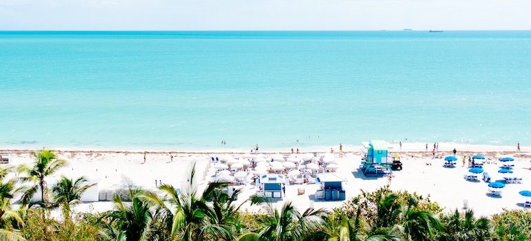 a beach with palm trees people see and sky