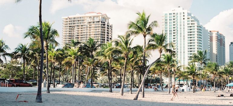 view of buildings through palm trees