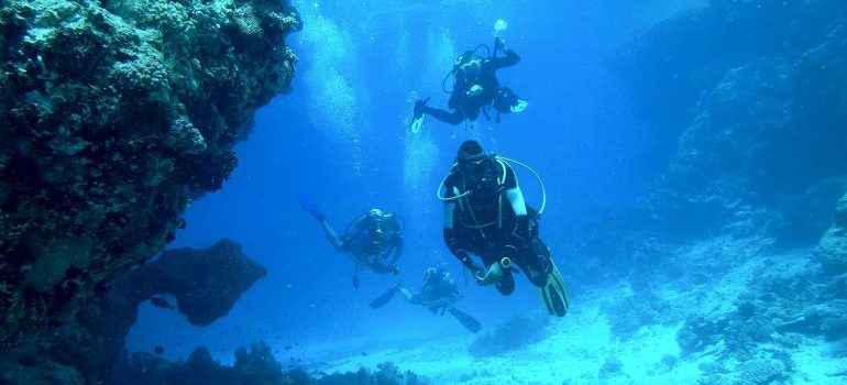 A diver is exploring the sea.