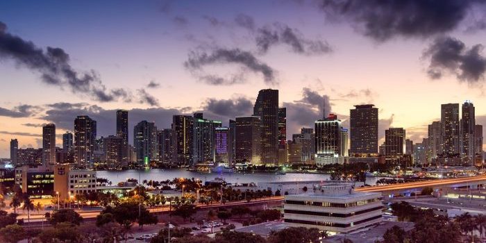 Miami skyline