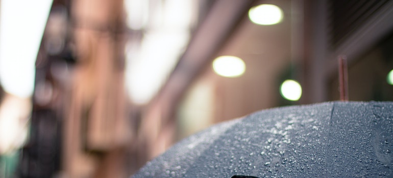 A black umbrella covered in rain