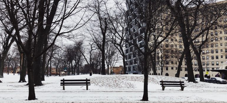 A snowy Chicago park