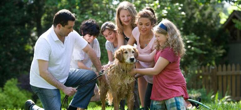 a family petting a dog