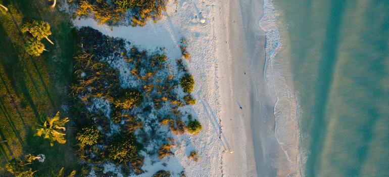 aerial view of the beach