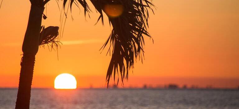 sunset on the water