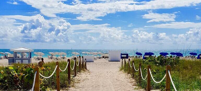 path leading to the beach