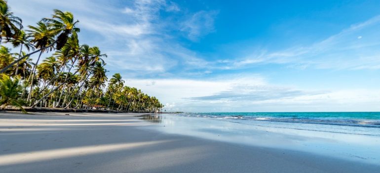 White sand beach, ocean, sky, and palms at the left side. 