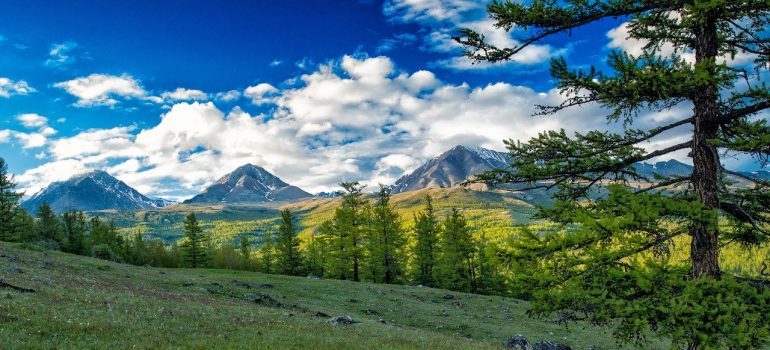 landscape