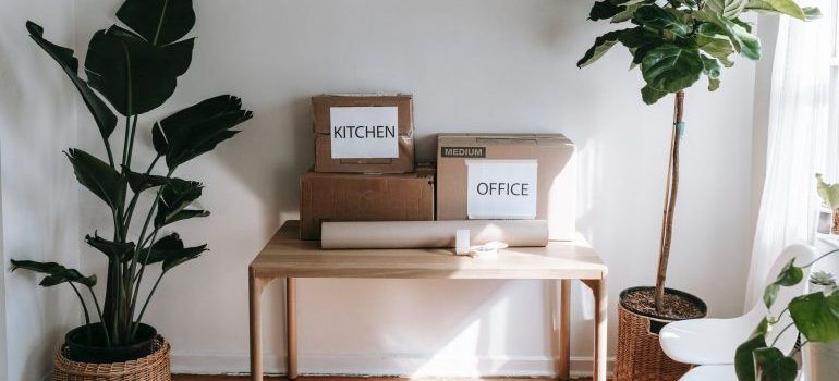 Labeled brown cardboard boxes