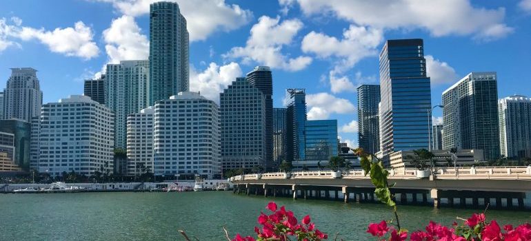 The view of the buildings in Brickell 