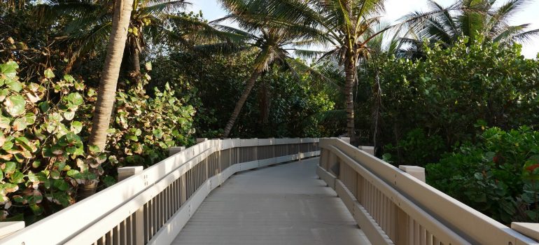 A boardwalk through the greenery in Daggerwing Nature Center