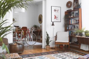 Room with many things, including sofa, chair, pot-plants and a bicycle.