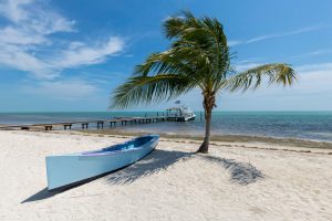 settling down in Hallandale Beach upon the retirement