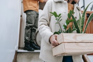 Plants in a box