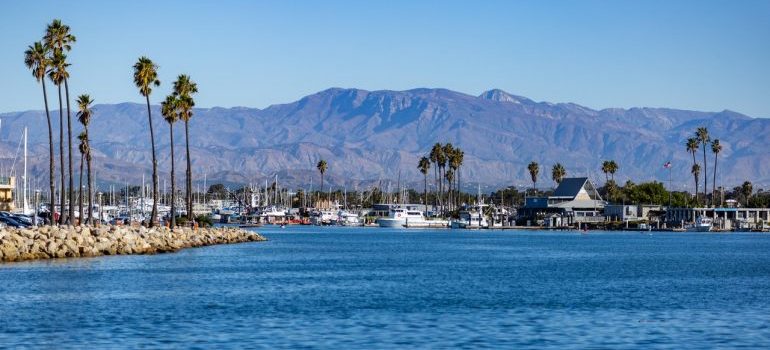 Yacht and palms in California