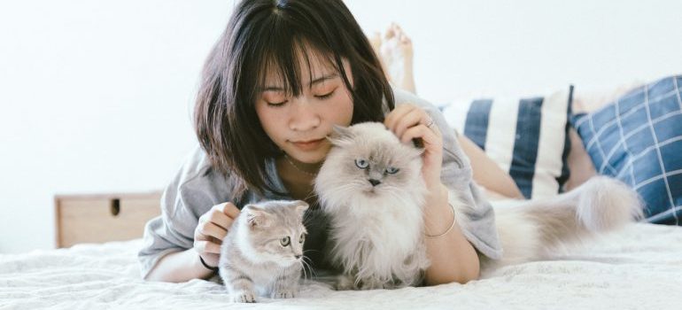 Woman lying on bed with two cats
