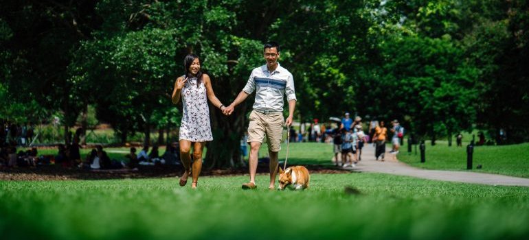 A couple walking their dog inside a dog park