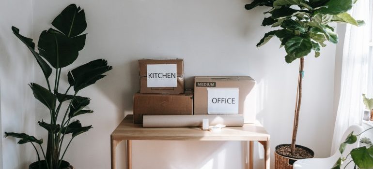 Boxes with labels on table.