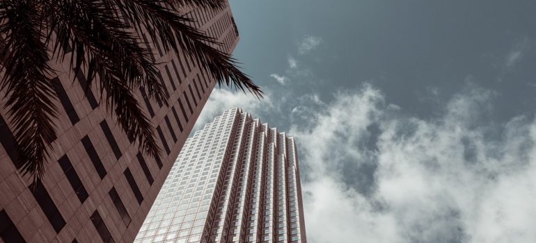 Picture of a high rise building next to a palm tree 