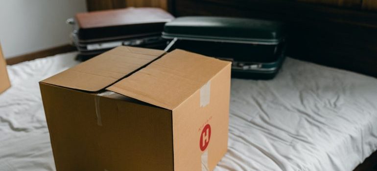 A cardboard box and two suitcases on the bed.