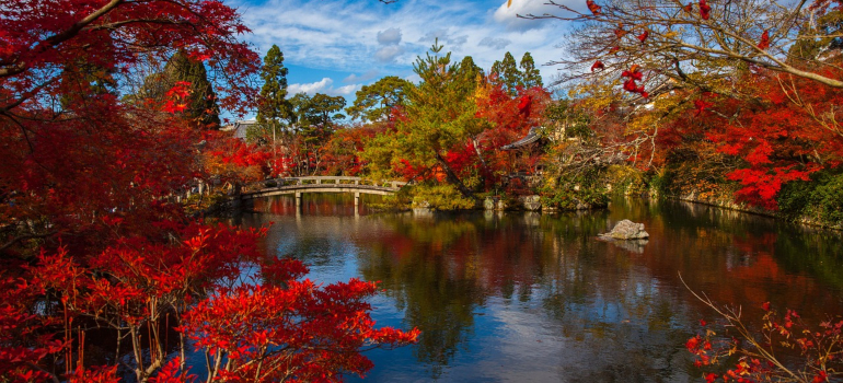 Japanese garden