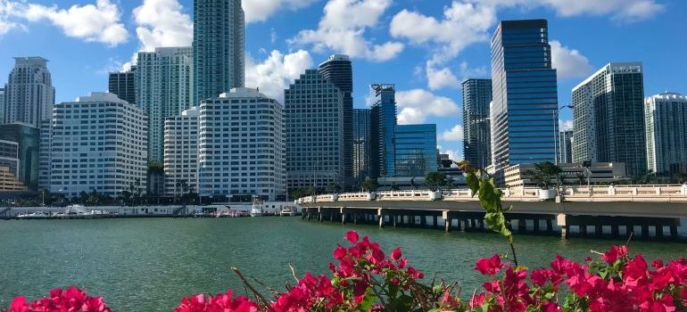 buildings, water and flowers