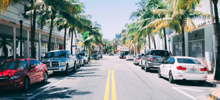 cars and palm trees on the street