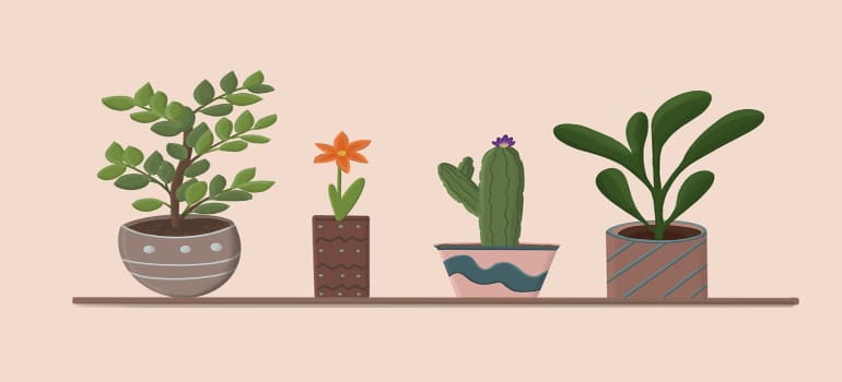 different type of plants on a straight line