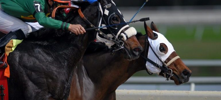 people from other parts of Florida move to Hallandale Beach to watch a horse race where a man is riding a fast horse 