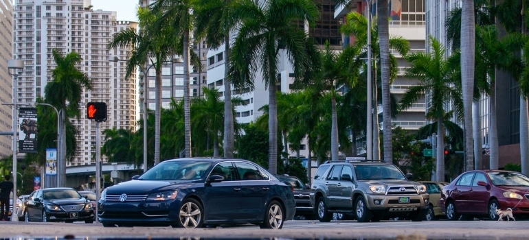 Cars parked in Miami