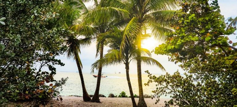 Sunny beaches are the reason for moving to Hallandale Beach in the summer