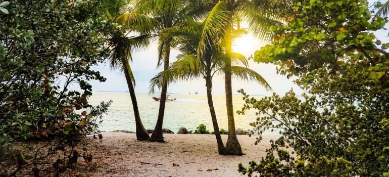 Sunset on the beach in Key West 