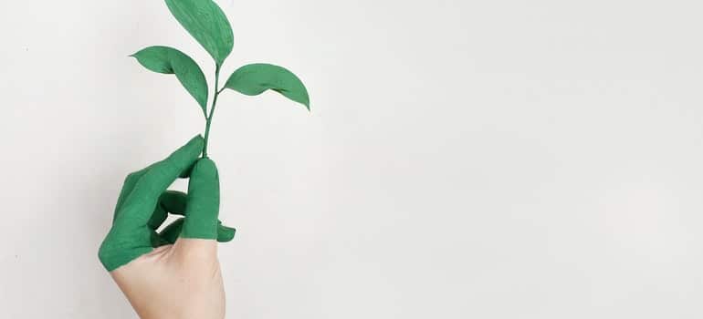 half green hand holding green leaves