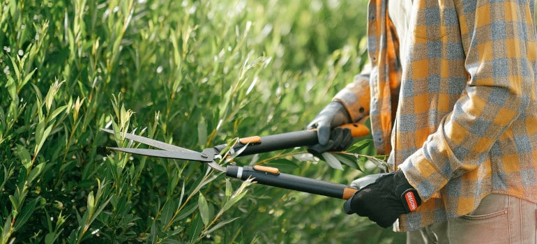 Man using shears to trim leaves and learn landscaping as one of the small-town business ideas to try after moving to Florida