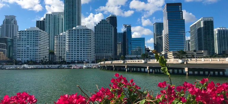 city view from the water