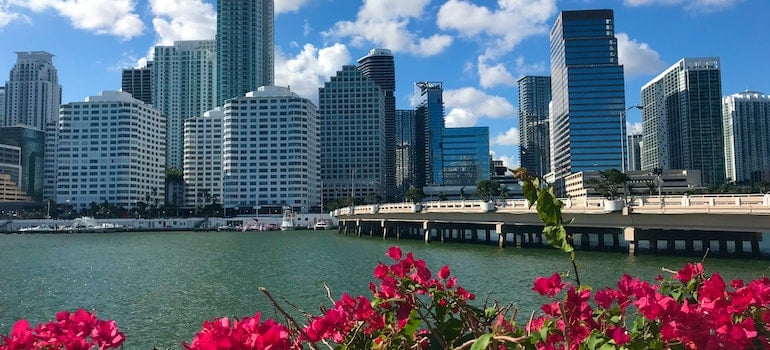 buildings seen from the water