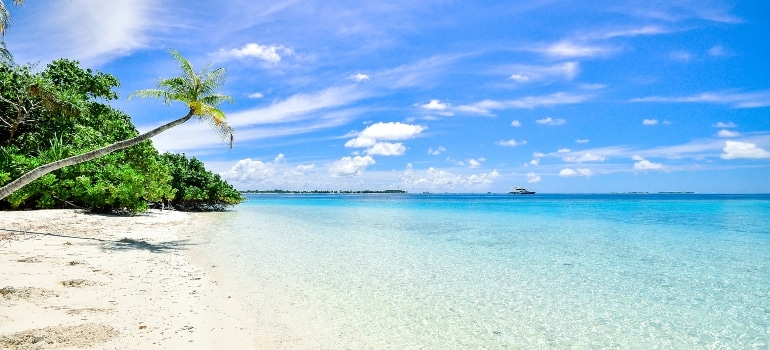 white sand beach and blue sea