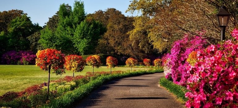 beautiful park with blossom trees in one of the best places to live in Palm Beach County