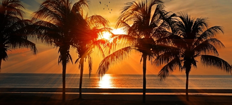 sunset at the beach in one of the best places in Florida for singles