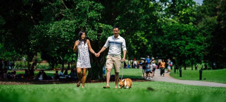 a park with people walking and playing with pets