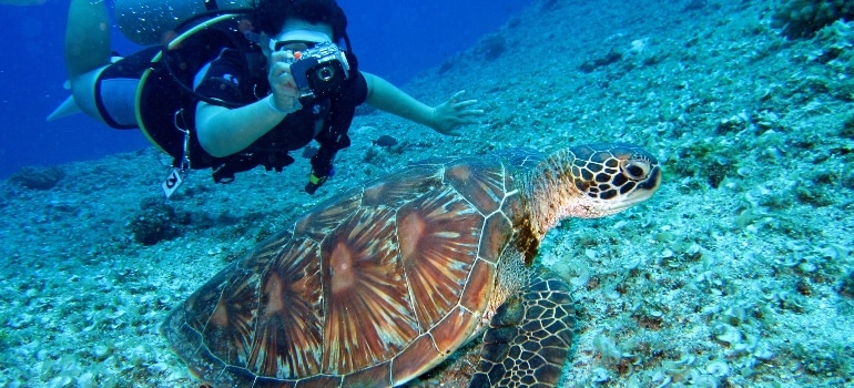 Man taking a picture of a sea turtle in the sea