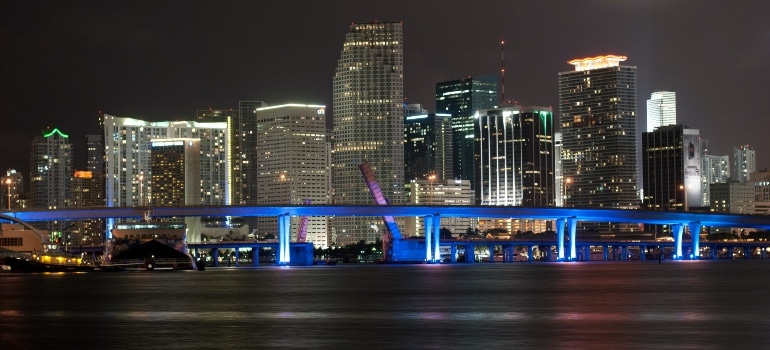 Miami panorama at night.