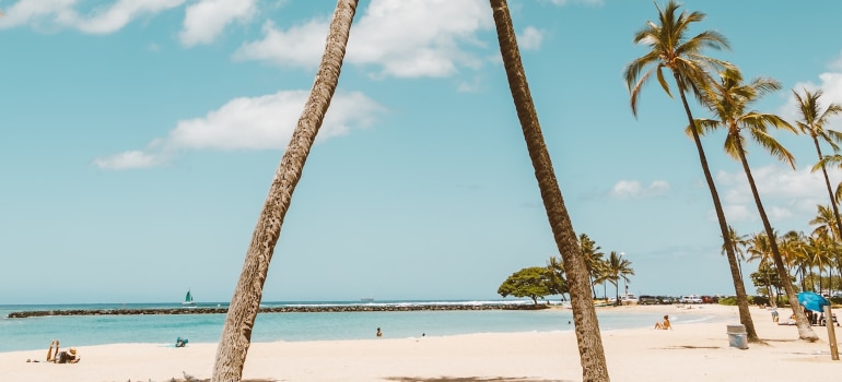 Beach in Palm Beach County.