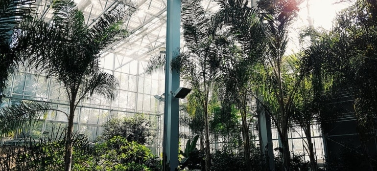 A botanical garden.